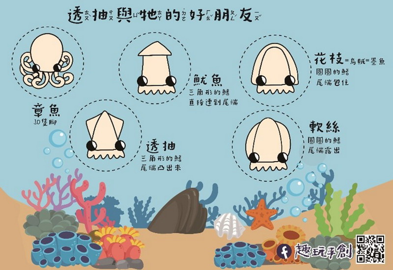 圖片:「玩藝玩」親子活動-【透抽與牠的好朋友—海洋留言夾】