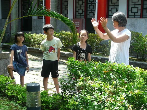 104月8月6日「玩藝玩-小朋友的暑期夏令營」-藝教館內觀察植物的成長