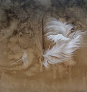 Bohoon ART Association Female Members Exhibition