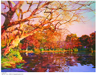 The Palpitations, Chen Liren’s Watercolor Exhibition