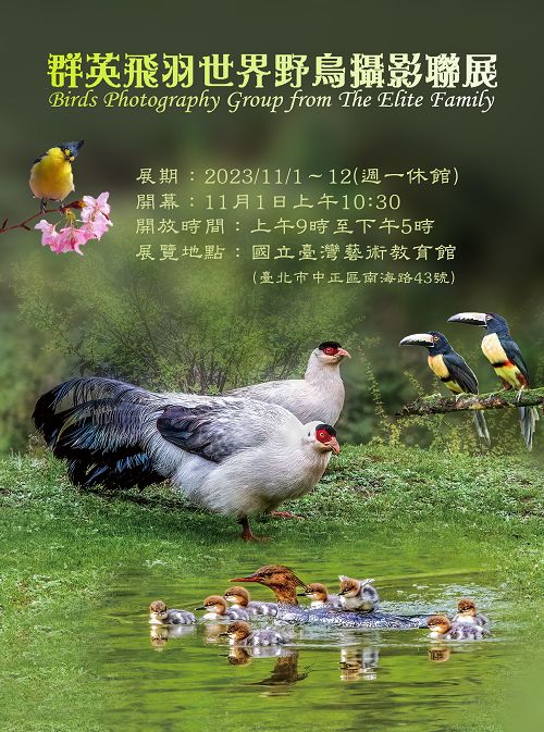 Wild Birds of the World 2023-Birds Photography Group Exhibition from The Elite Family